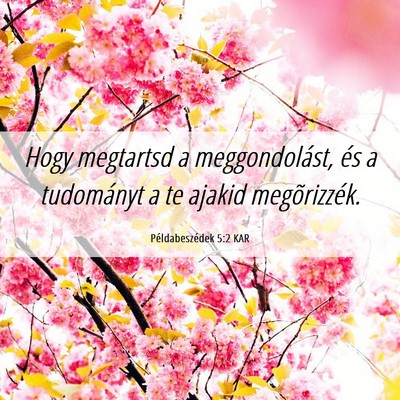 Picture 06 - Példabeszédek 5:2 KAR - Hogy megtartsd a meggondolást, és a tudományt - Bible Verse Picture