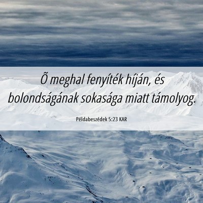Picture 06 - Példabeszédek 5:23 KAR - Õ meghal fenyíték híján, és bolondságának - Bible Verse Picture