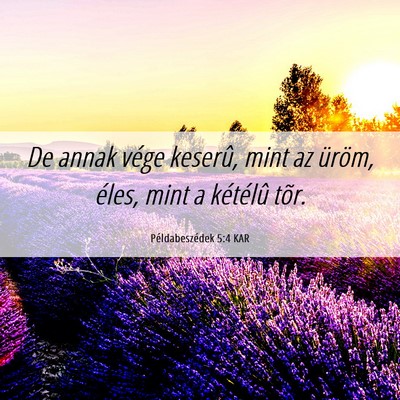 Picture 06 - Példabeszédek 5:4 KAR - De annak vége keserû, mint az üröm, éles, - Bible Verse Picture