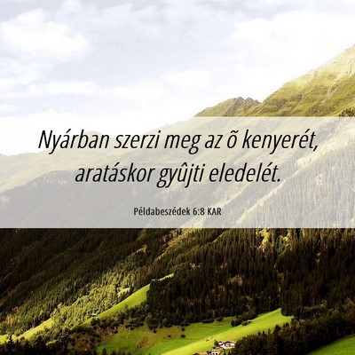 Picture 06 - Példabeszédek 6:8 KAR - Nyárban szerzi meg az õ kenyerét, aratáskor - Bible Verse Picture