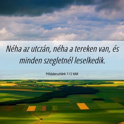 Picture 06 - Példabeszédek 7:12 KAR - Néha az utczán, néha a tereken van, és minden - Bible Verse Picture
