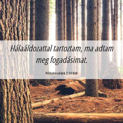 Picture 06 - Példabeszédek 7:14 KAR - Hálaáldozattal tartoztam, ma adtam meg - Bible Verse Picture