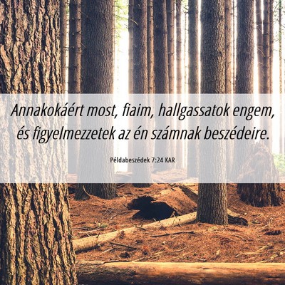 Picture 06 - Példabeszédek 7:24 KAR - Annakokáért most, fiaim, hallgassatok engem, - Bible Verse Picture