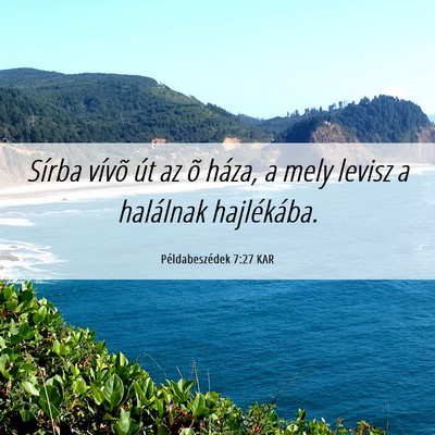 Picture 06 - Példabeszédek 7:27 KAR - Sírba vívõ út az õ háza, a mely levisz a - Bible Verse Picture
