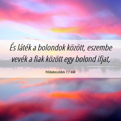 Picture 06 - Példabeszédek 7:7 KAR - És láték a bolondok között, eszembe vevék a - Bible Verse Picture