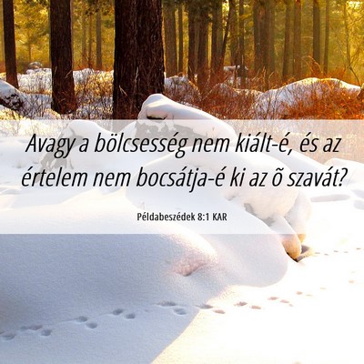 Picture 06 - Példabeszédek 8:1 KAR - Avagy a bölcsesség nem kiált-é, és az - Bible Verse Picture