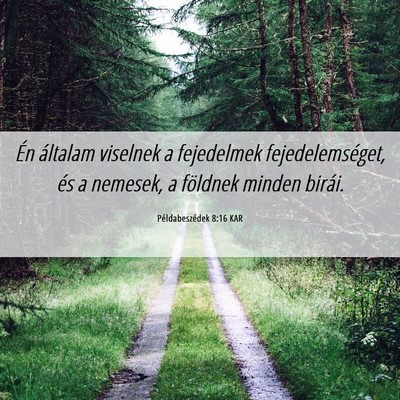 Picture 06 - Példabeszédek 8:16 KAR - Én általam viselnek a fejedelmek - Bible Verse Picture