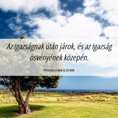 Picture 06 - Példabeszédek 8:20 KAR - Az igazságnak útán járok, és az igazság - Bible Verse Picture