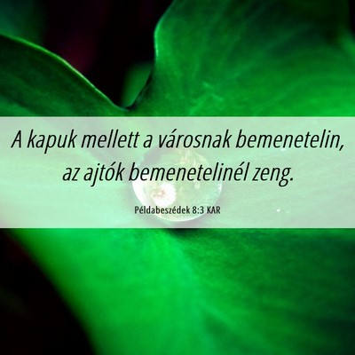 Picture 06 - Példabeszédek 8:3 KAR - A kapuk mellett a városnak bemenetelin, az - Bible Verse Picture