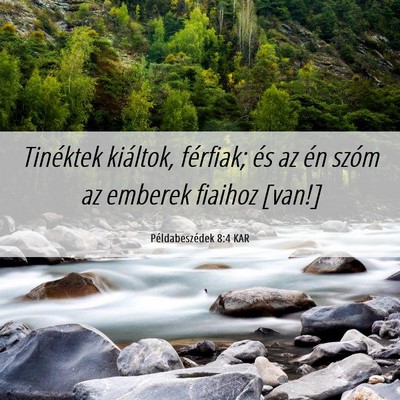 Picture 06 - Példabeszédek 8:4 KAR - Tinéktek kiáltok, férfiak; és az én szóm az - Bible Verse Picture