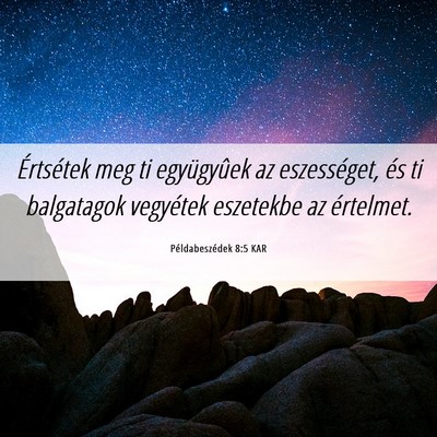 Picture 06 - Példabeszédek 8:5 KAR - Értsétek meg ti együgyûek az eszességet, és - Bible Verse Picture