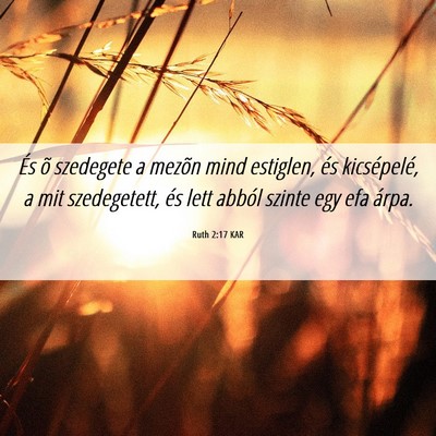 Picture 06 - Ruth 2:17 KAR - És õ szedegete a mezõn mind estiglen, és - Bible Verse Picture