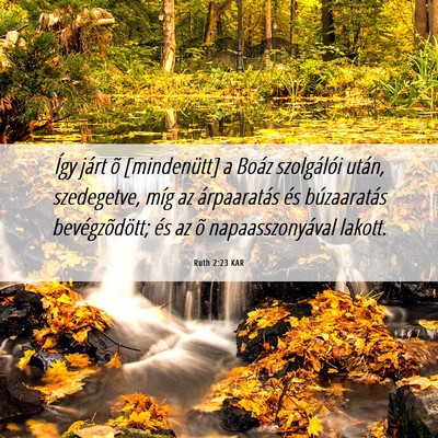 Picture 06 - Ruth 2:23 KAR - Így járt õ [mindenütt] a Boáz szolgálói - Bible Verse Picture