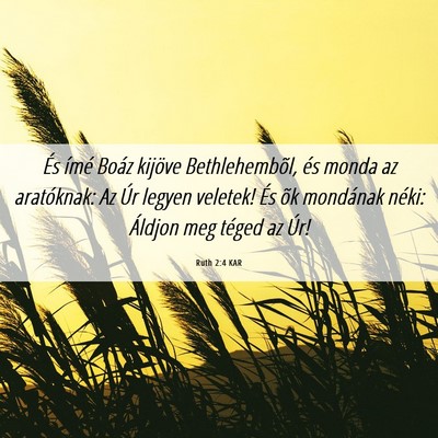 Picture 06 - Ruth 2:4 KAR - És ímé Boáz kijöve Bethlehembõl, és monda - Bible Verse Picture