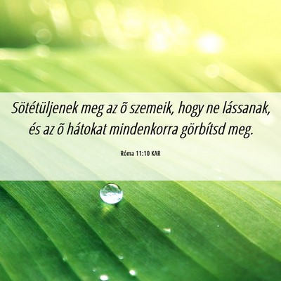 Picture 06 - Róma 11:10 KAR - Sötétüljenek meg az õ szemeik, hogy ne - Bible Verse Picture