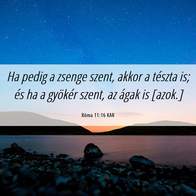 Picture 06 - Róma 11:16 KAR - Ha pedig a zsenge szent, akkor a tészta is; és - Bible Verse Picture