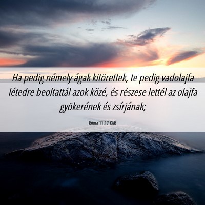 Picture 06 - Róma 11:17 KAR - Ha pedig némely ágak kitörettek, te pedig - Bible Verse Picture