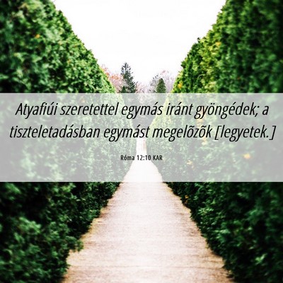 Picture 06 - Róma 12:10 KAR - Atyafiúi szeretettel egymás iránt gyöngédek; - Bible Verse Picture