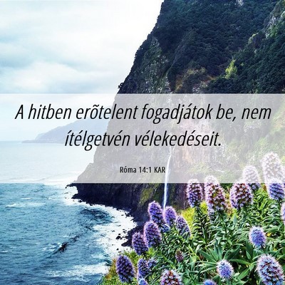 Picture 06 - Róma 14:1 KAR - A hitben erõtelent fogadjátok be, nem - Bible Verse Picture