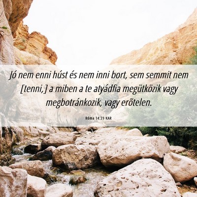 Picture 06 - Róma 14:21 KAR - Jó nem enni húst és nem inni bort, sem semmit - Bible Verse Picture