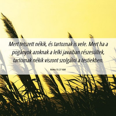 Picture 06 - Róma 15:27 KAR - Mert tetszett nékik, és tartoznak is vele. Mert - Bible Verse Picture