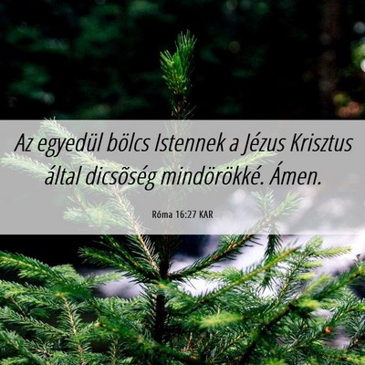 Picture 06 - Róma 16:27 KAR - Az egyedül bölcs Istennek a Jézus Krisztus - Bible Verse Picture