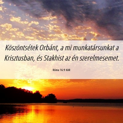 Picture 06 - Róma 16:9 KAR - Köszöntsétek Orbánt, a mi munkatársunkat a - Bible Verse Picture