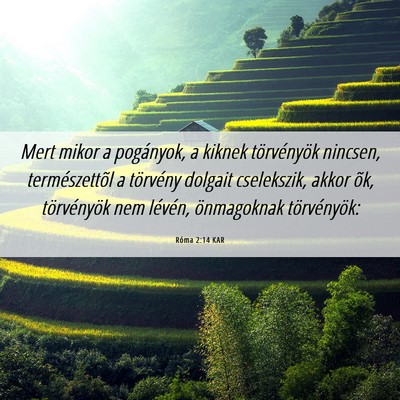 Picture 06 - Róma 2:14 KAR - Mert mikor a pogányok, a kiknek törvényök - Bible Verse Picture