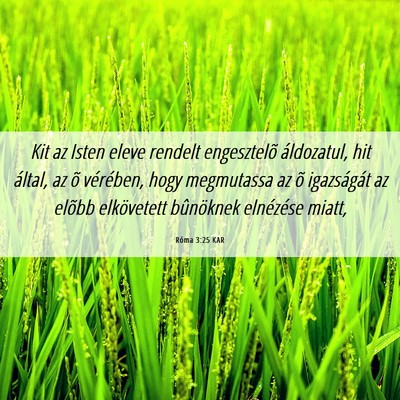 Picture 06 - Róma 3:25 KAR - Kit az Isten eleve rendelt engesztelõ - Bible Verse Picture