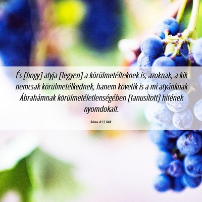 Picture 06 - Róma 4:12 KAR - És [hogy] atyja [legyen] a körülmetélteknek - Bible Verse Picture