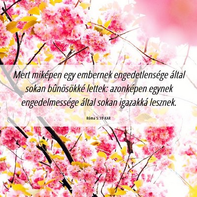 Picture 06 - Róma 5:19 KAR - Mert miképen egy embernek engedetlensége által - Bible Verse Picture