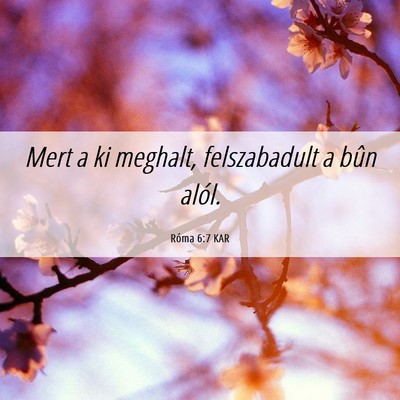 Picture 06 - Róma 6:7 KAR - Mert a ki meghalt, felszabadult a bûn - Bible Verse Picture