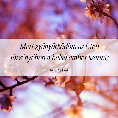 Picture 06 - Róma 7:22 KAR - Mert gyönyörködöm az Isten törvényében a - Bible Verse Picture