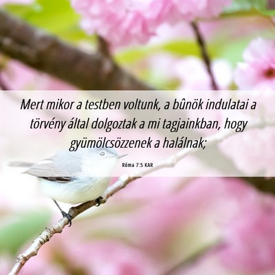 Picture 06 - Róma 7:5 KAR - Mert mikor a testben voltunk, a bûnök indulatai - Bible Verse Picture