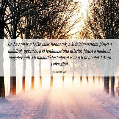 Picture 06 - Róma 8:11 KAR - De ha Annak a Lelke lakik bennetek, a ki - Bible Verse Picture