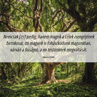 Picture 06 - Róma 8:23 KAR - Nemcsak [ez] pedig, hanem magok a Lélek - Bible Verse Picture