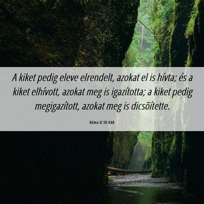Picture 06 - Róma 8:30 KAR - A kiket pedig eleve elrendelt, azokat el is - Bible Verse Picture