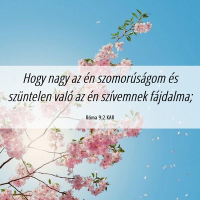 Picture 06 - Róma 9:2 KAR - Hogy nagy az én szomorúságom és szüntelen - Bible Verse Picture