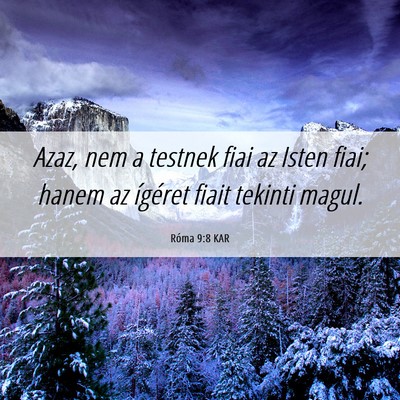 Picture 06 - Róma 9:8 KAR - Azaz, nem a testnek fiai az Isten fiai; hanem az - Bible Verse Picture