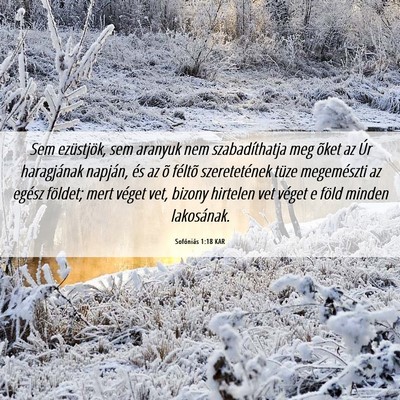 Picture 06 - Sofóniás 1:18 KAR - Sem ezüstjök, sem aranyuk nem szabadíthatja - Bible Verse Picture