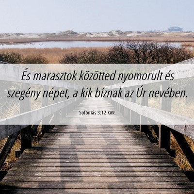 Picture 06 - Sofóniás 3:12 KAR - És marasztok közötted nyomorult és szegény - Bible Verse Picture