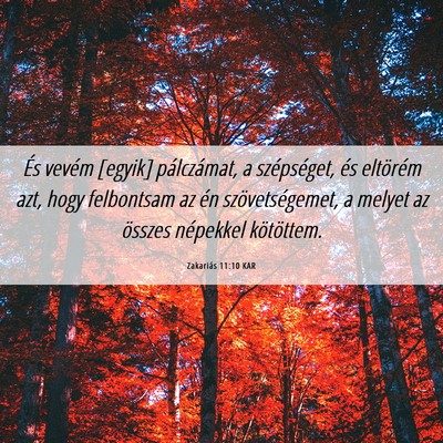 Picture 06 - Zakariás 11:10 KAR - És vevém [egyik] pálczámat, a szépséget, - Bible Verse Picture