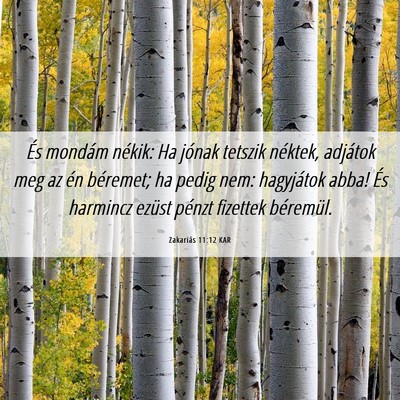 Picture 06 - Zakariás 11:12 KAR - És mondám nékik: Ha jónak tetszik néktek, - Bible Verse Picture