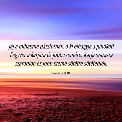 Picture 06 - Zakariás 11:17 KAR - Jaj a mihaszna pásztornak, a ki elhagyja a - Bible Verse Picture