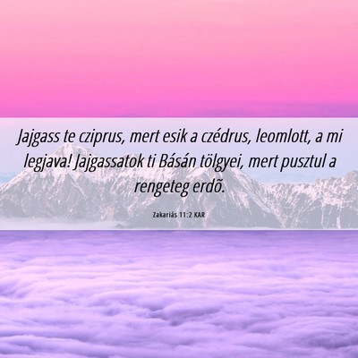 Picture 06 - Zakariás 11:2 KAR - Jajgass te cziprus, mert esik a czédrus, - Bible Verse Picture
