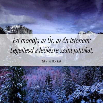 Picture 06 - Zakariás 11:4 KAR - Ezt mondja az Úr, az én Istenem: Legeltesd a - Bible Verse Picture