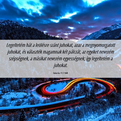 Picture 06 - Zakariás 11:7 KAR - Legeltetém hát a leölésre szánt juhokat, - Bible Verse Picture