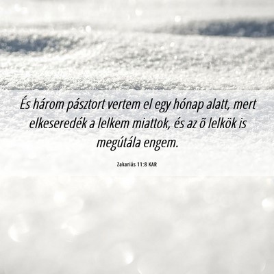 Picture 06 - Zakariás 11:8 KAR - És három pásztort vertem el egy hónap alatt, - Bible Verse Picture