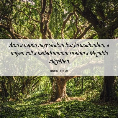 Picture 06 - Zakariás 12:11 KAR - Azon a napon nagy siralom lesz Jeruzsálemben, a - Bible Verse Picture