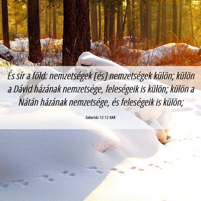 Picture 06 - Zakariás 12:12 KAR - És sír a föld: nemzetségek [és] nemzetségek - Bible Verse Picture